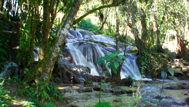 Site archéologique de Toniná depuis San Cristóbal - Photo 5